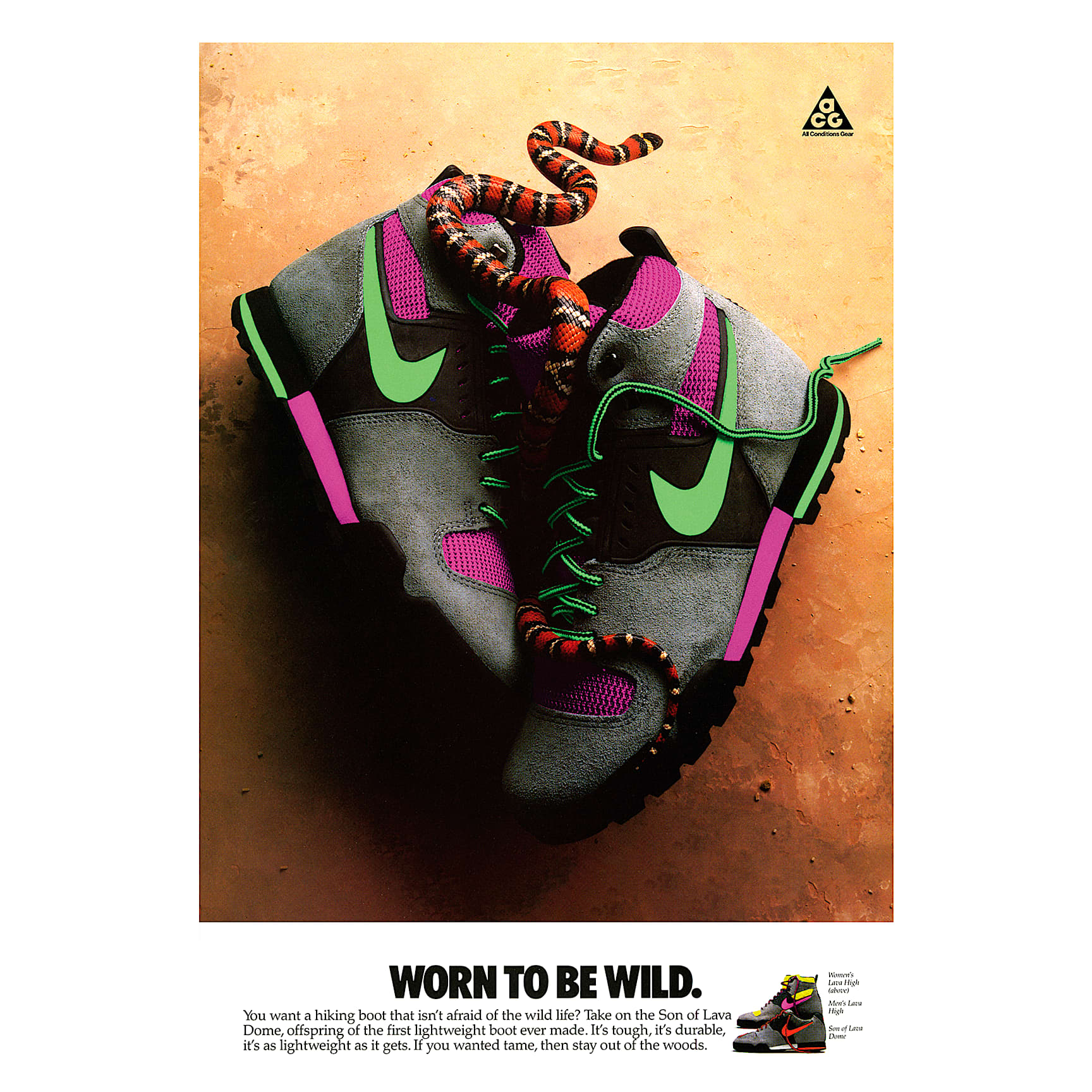 ナイキ　オールスター　パノラマポスター Nike DNA “Worn to be Wild” Poster 22